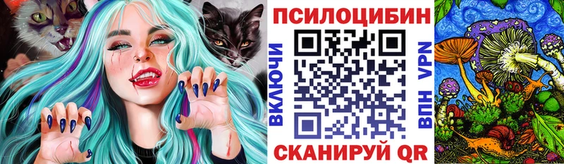 Галлюциногенные грибы прущие грибы  Заполярный 